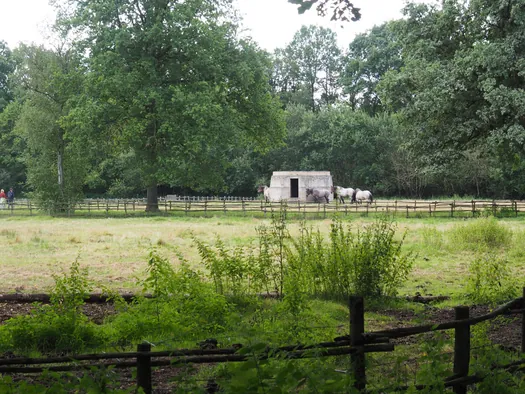 Openluchtmuseum Bokrijk (België)